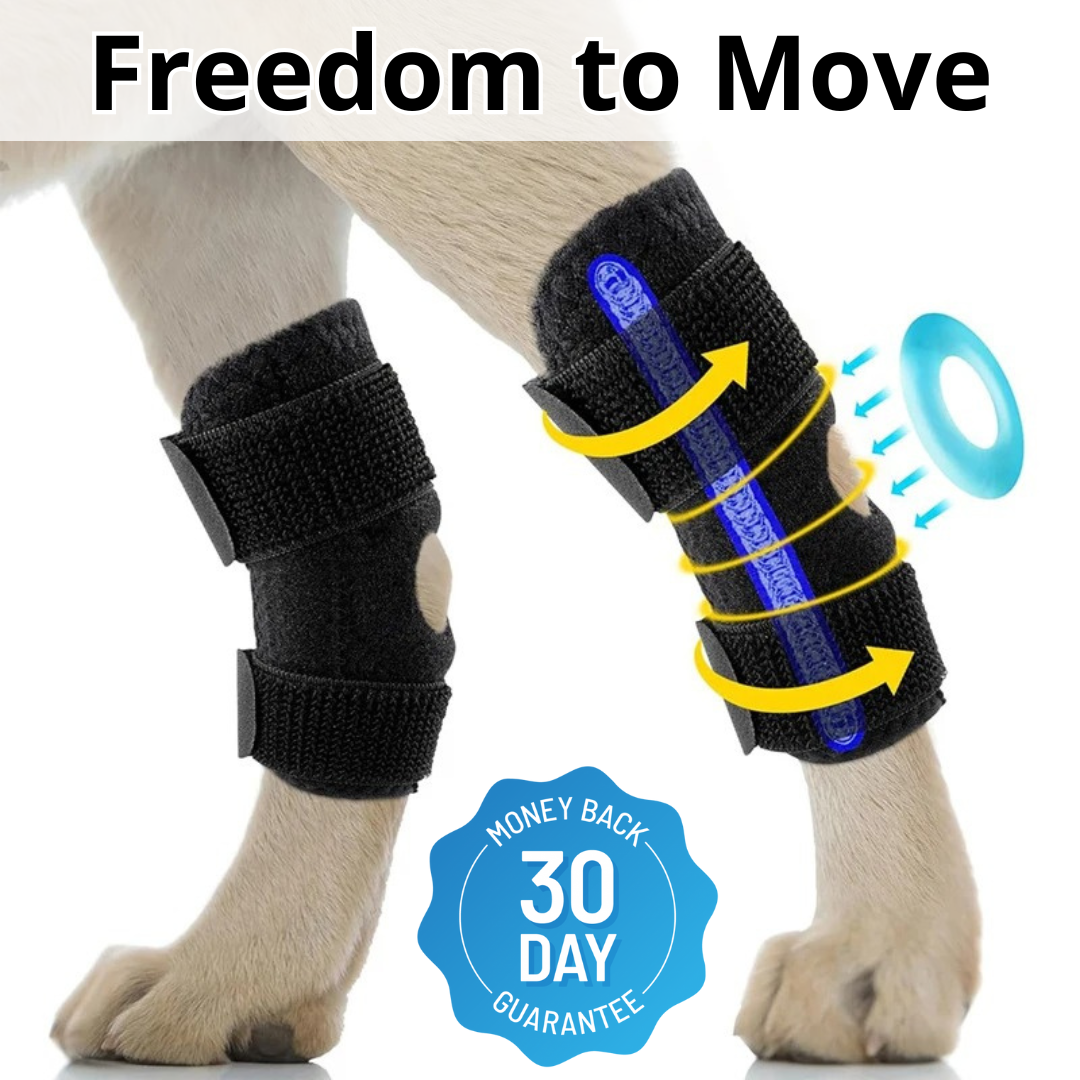 PawBrace™ Semi-Rigid Joint Support for Dogs