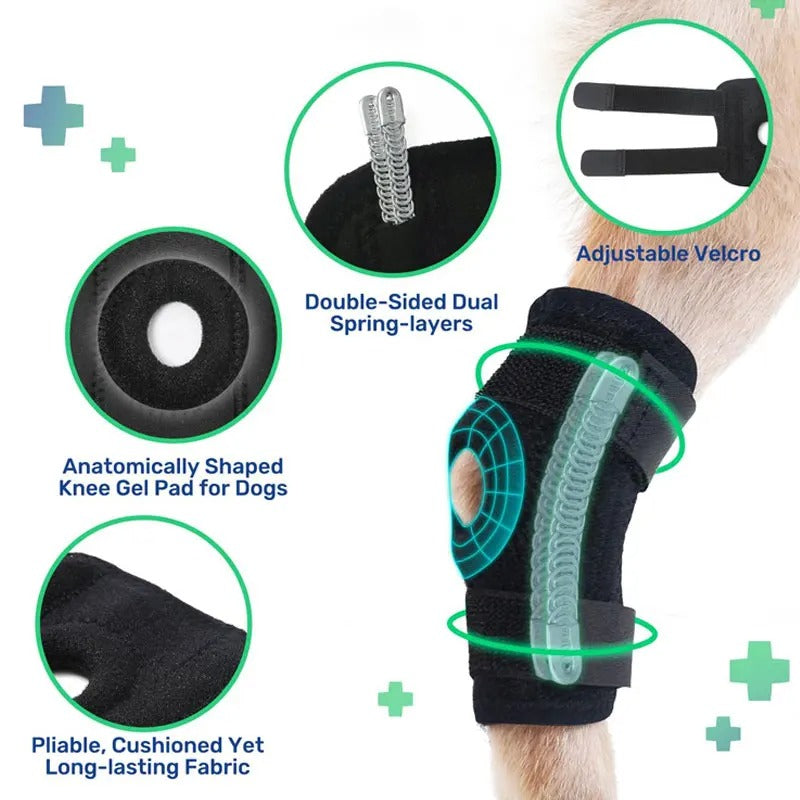 PawBrace™ Semi-Rigid Joint Support for Dogs
