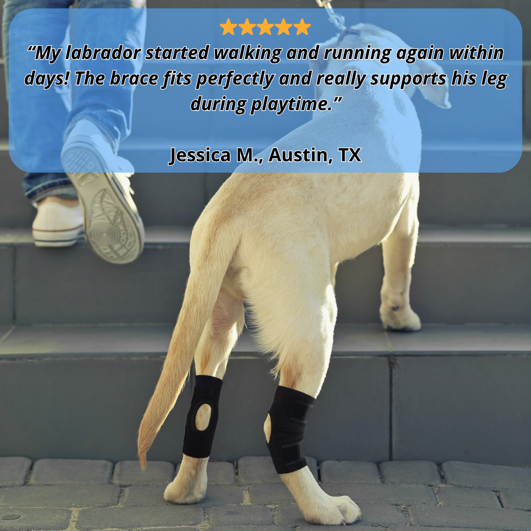 Platux Stability Brace