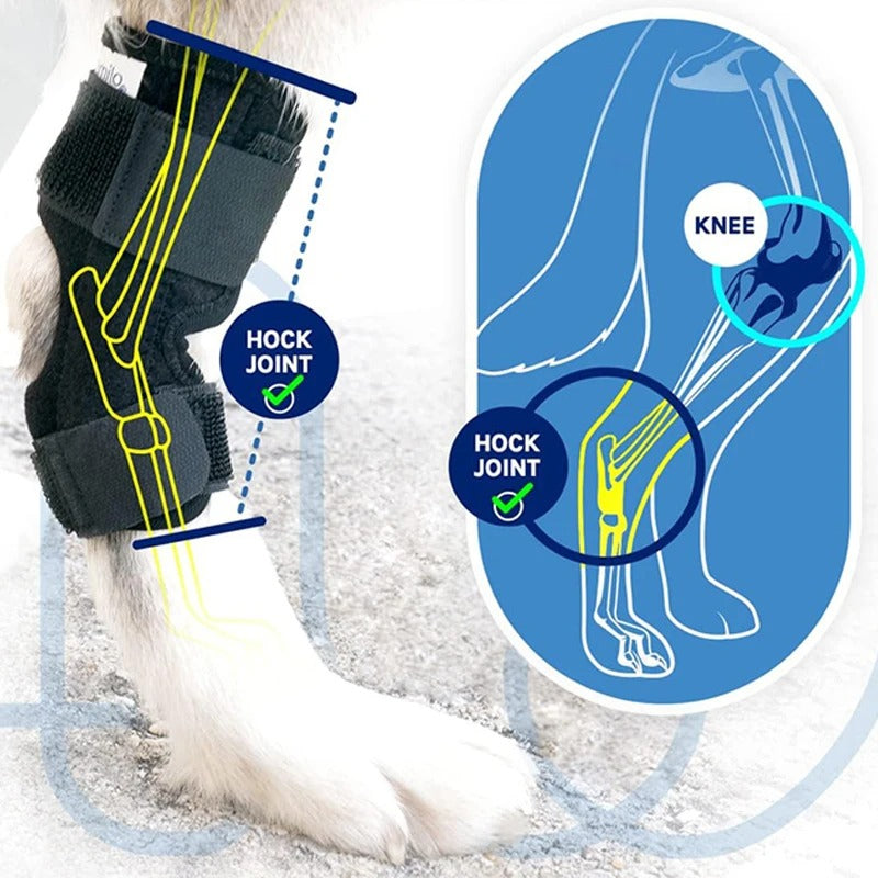 PawBrace™ Semi-Rigid Joint Support for Dogs
