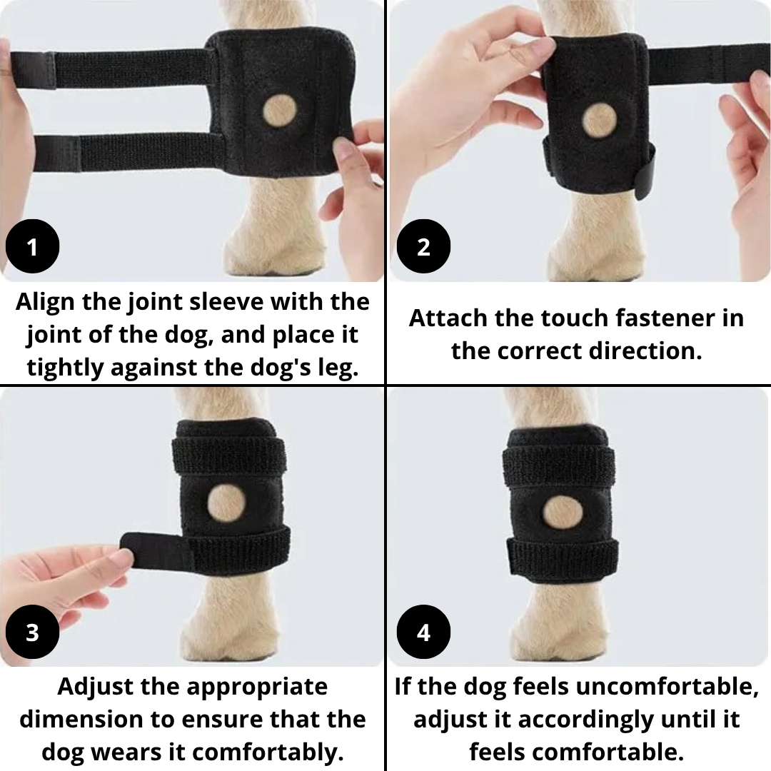 PawBrace™ Semi-Rigid Joint Support for Dogs