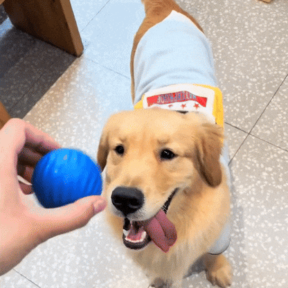 SmartBall™ by Platux Pets