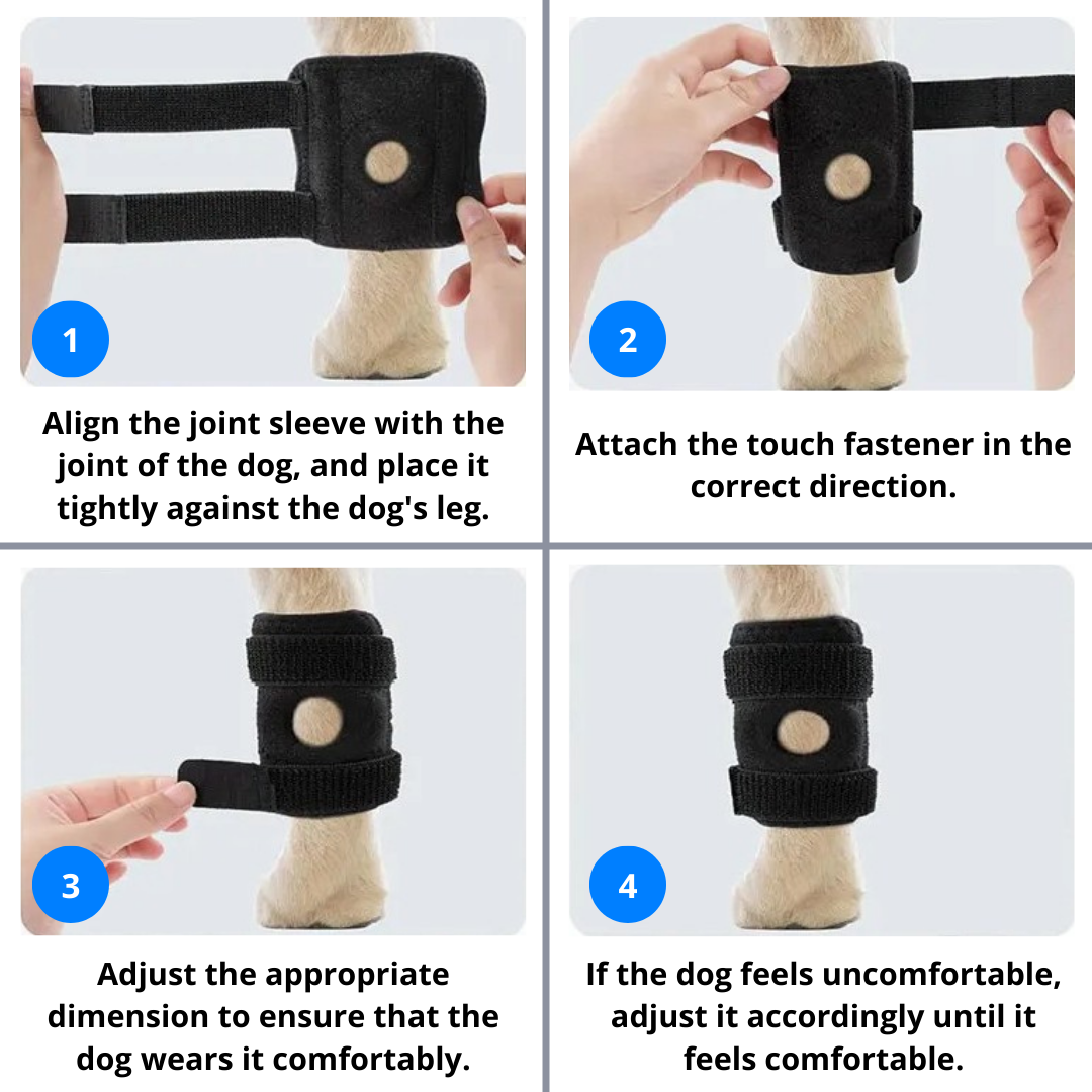 Platux Stability Brace