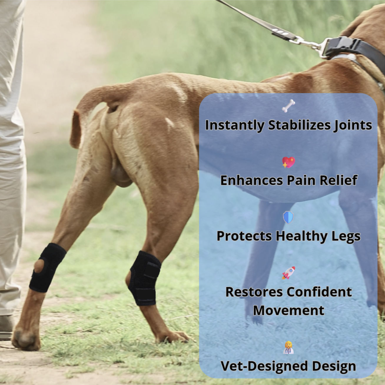 Platux Stability Brace