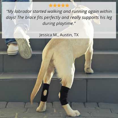 PawBrace™ Semi-Rigid Joint Support for Dogs